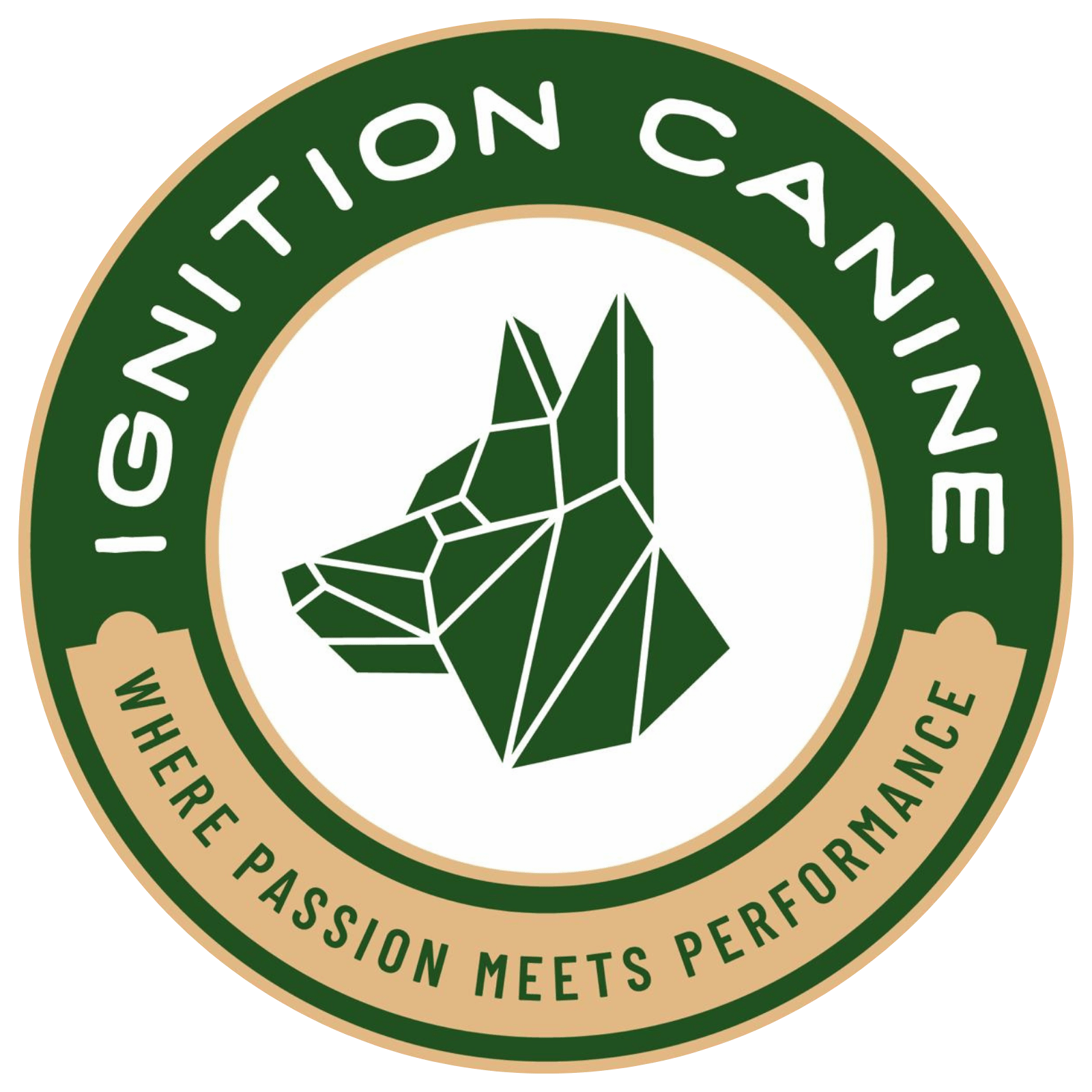 Ignition Canine Dog Training